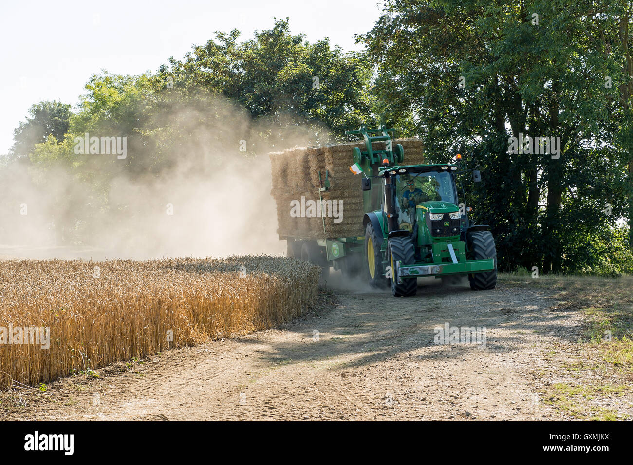 Tractor with trailer of bales Stock Photo