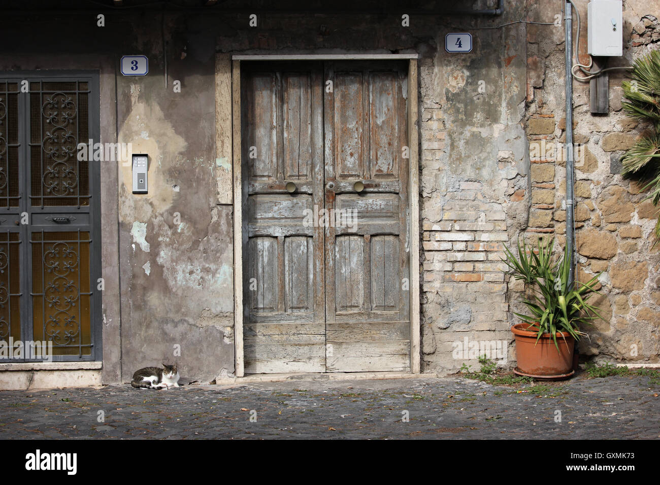 a beautiful entrance of a house with cat, Tivoli, Italy Stock Photo