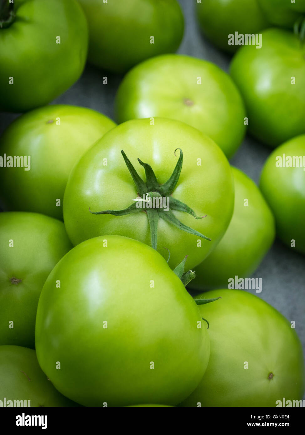 Green tomatoes for sale at the City Market (104 Street Market) in Edmonton, Alberta, Canada