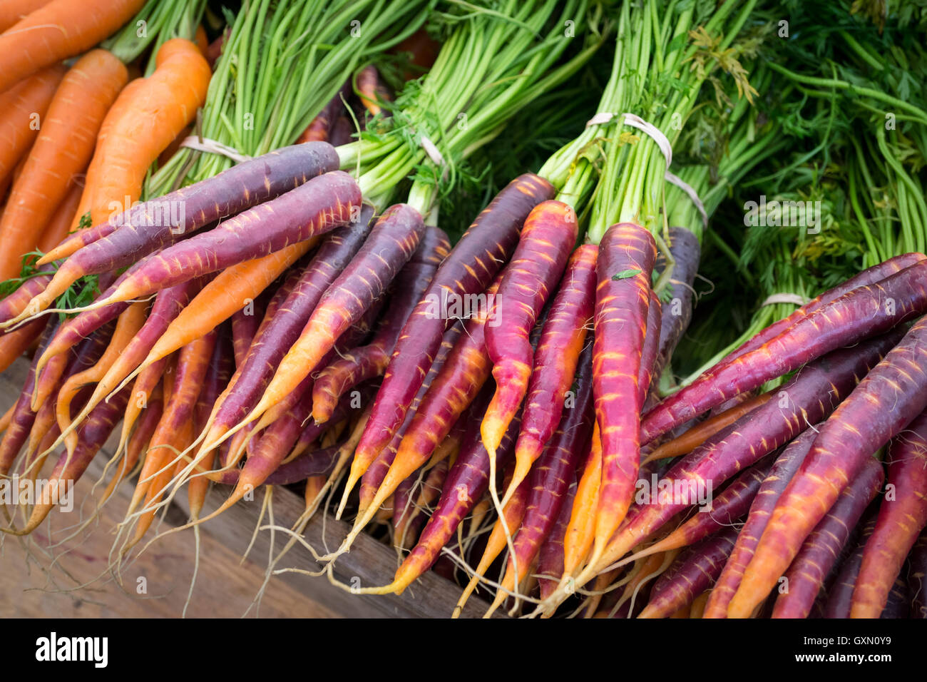Heirloom carrots for sale at the City Market (104 Street Market) in Edmonton, Alberta, Canada. Stock Photo