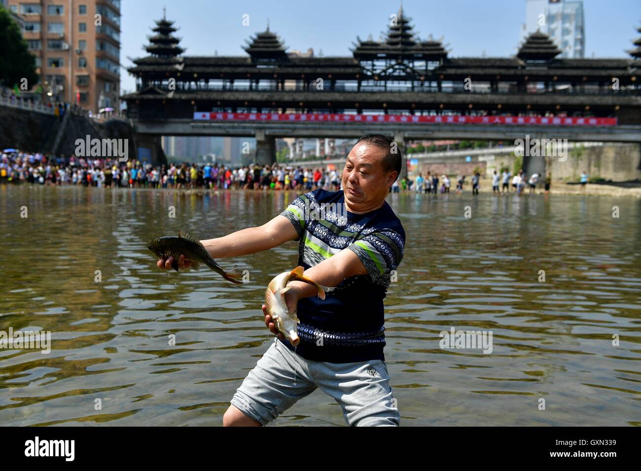 (160916) -- ENSHI, Sept. 16, 2016 (Xinhua) -- A man presents two fish he catched by hands in a river in an event held to celebrate a good harvest in Xuanen County, central China's Hubei Province, Sept. 16, 2016. (Xinhua/Song Wen) (cxy) Stock Photo