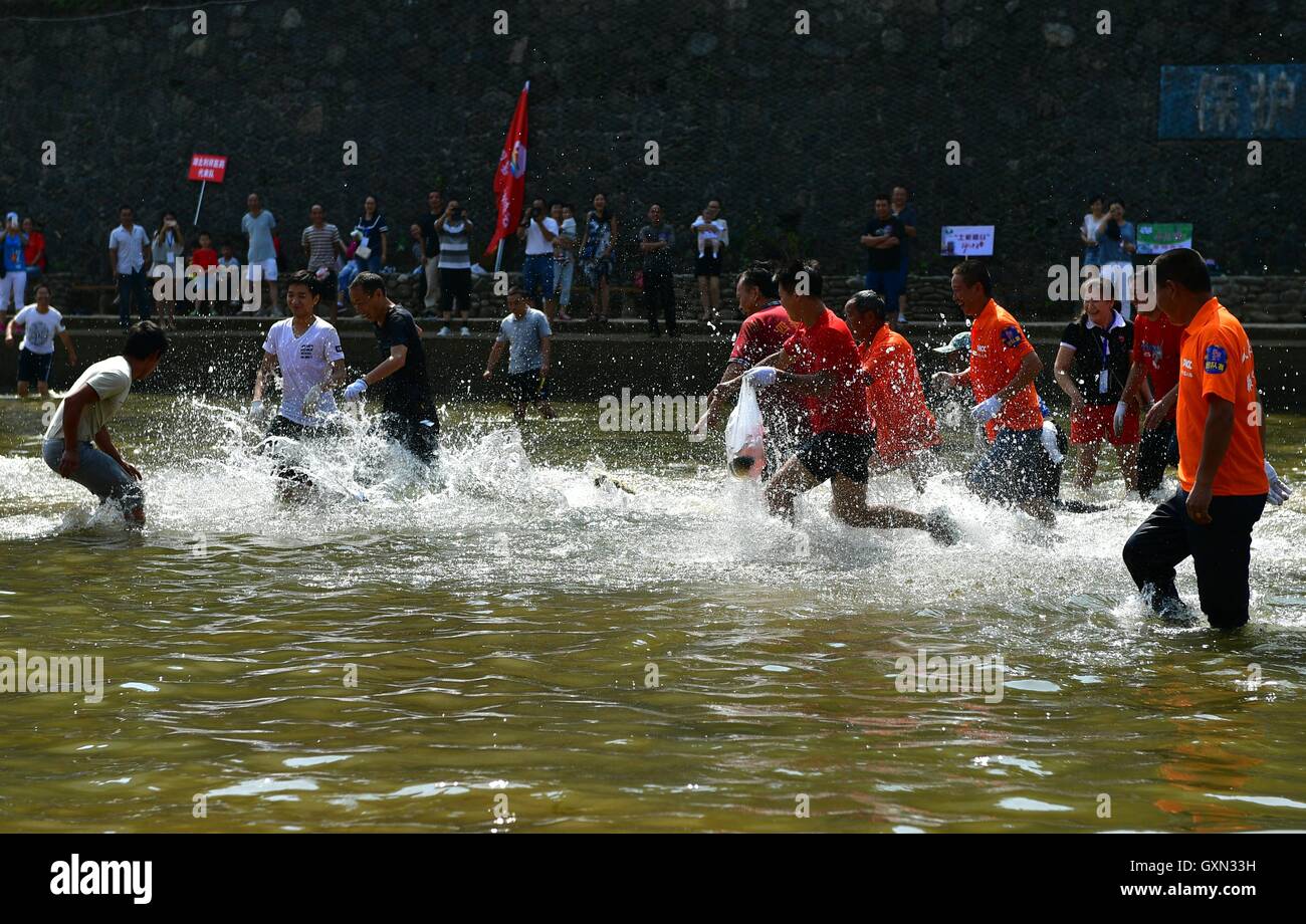 (160916) -- ENSHI, Sept. 16, 2016 (Xinhua) -- Local people run to catch fish by hands in a river to celebrate a good harvest in Xuanen County, central China's Hubei Province, Sept. 16, 2016. (Xinhua/Song Wen) (cxy) Stock Photo