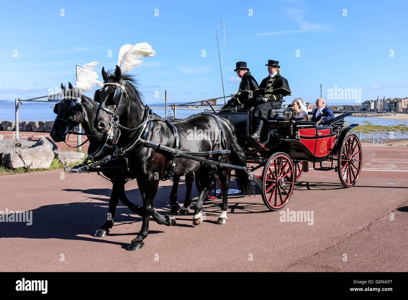 Horse drawn carriage 17th hires stock photography and images Alamy