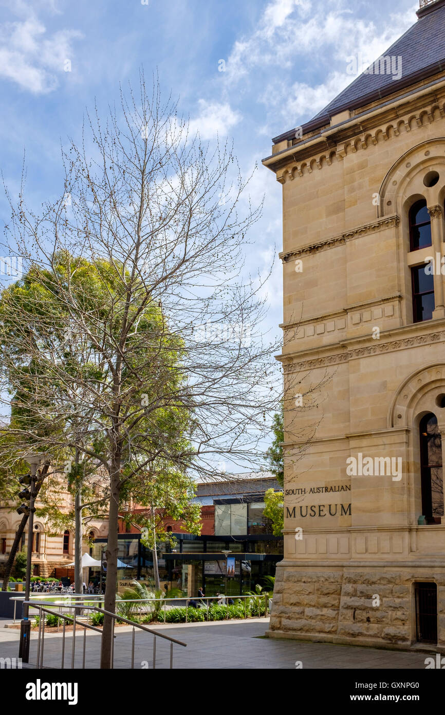 Exterior of the South Australian Museum in North terrace Adelaide Stock Photo