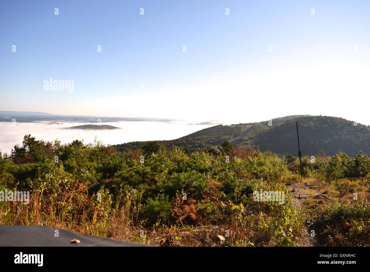 Fog in the Blue Mountains Stock Photo