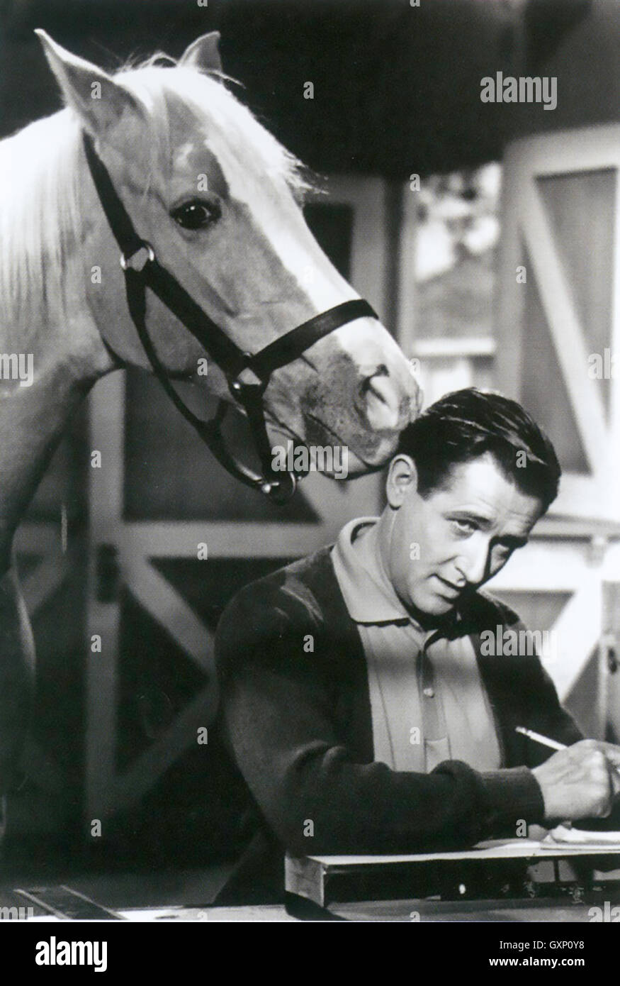 MISTER ED US TV series 19611966 with Alan Young as Wilbur Post and his