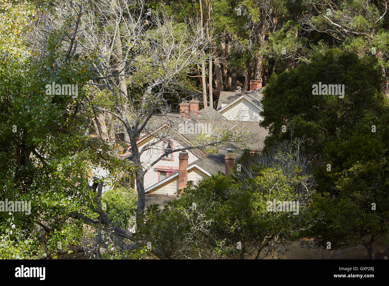 Restored US Army Houses At Camp Reynolds On Angel Island, California