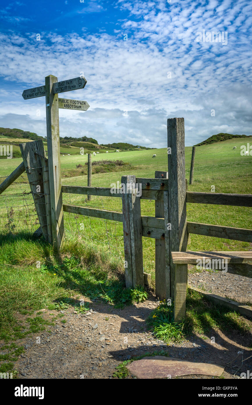 Coast Path Stock Photo