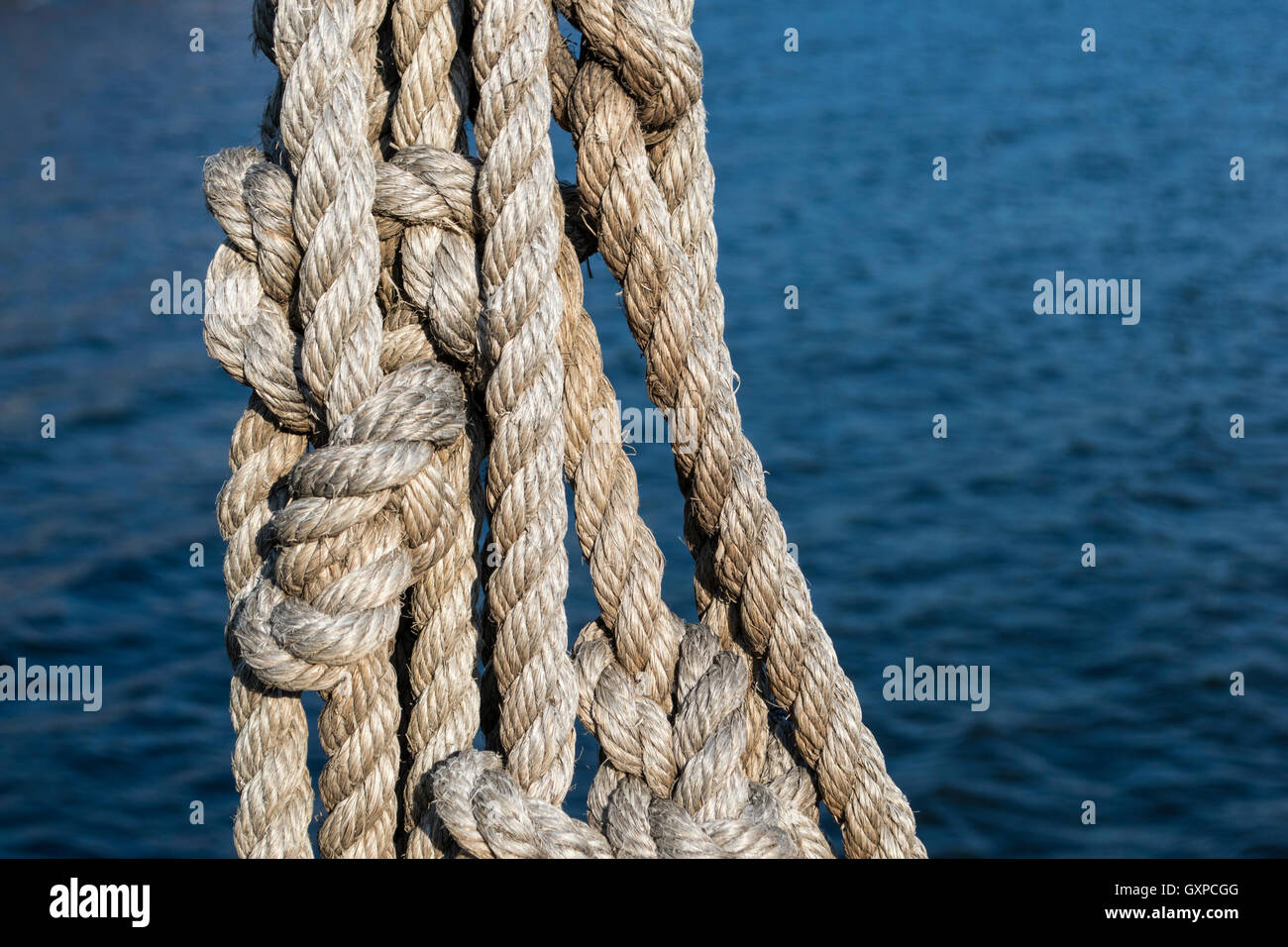 Large Hemp Rope Large hemp ropes in knots near the water Stock Photo - Alamy