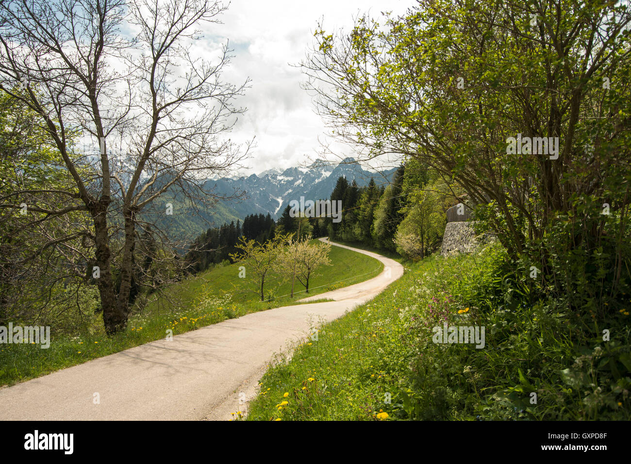 Country road scenery hi-res stock photography and images - Alamy