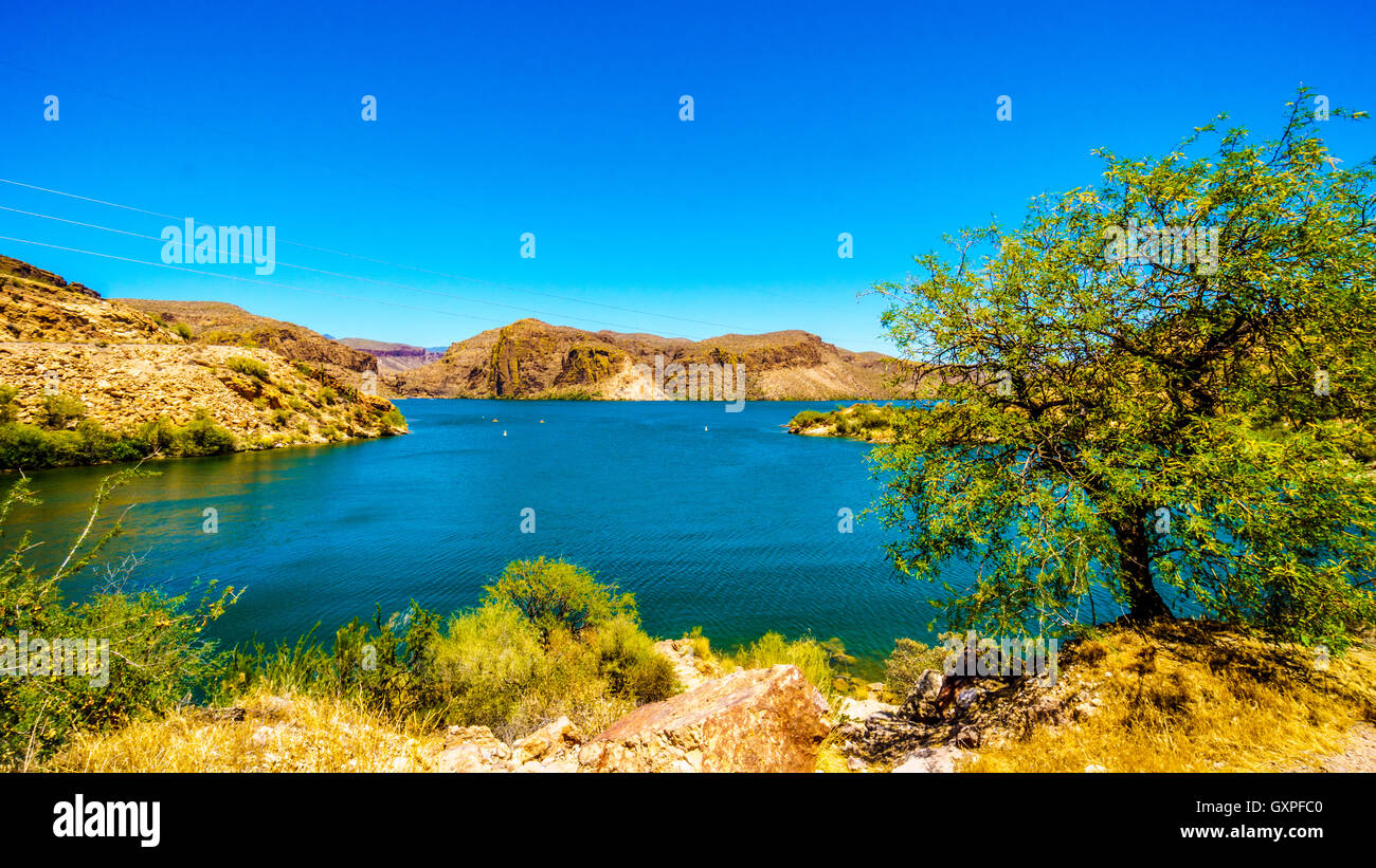 Canyon Lake and the Desert Landscape of Tonto National Forest along the