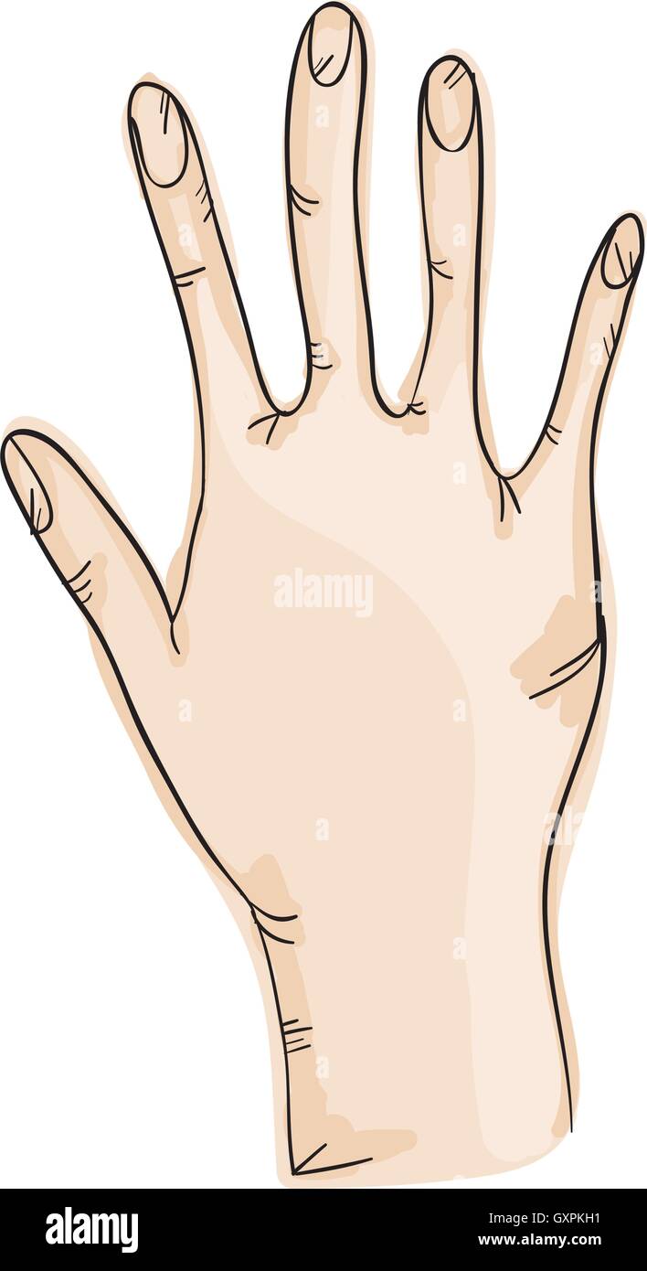 human open hand Stock Vector Image & Art - Alamy