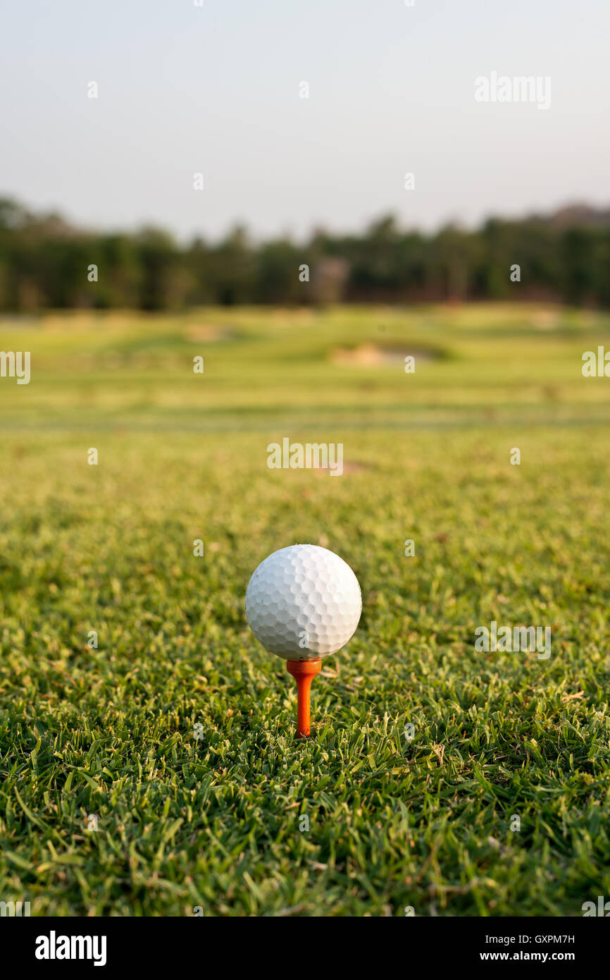 Golf ball on a tee against the golf course. Close up at golf ball and tee Stock Photo