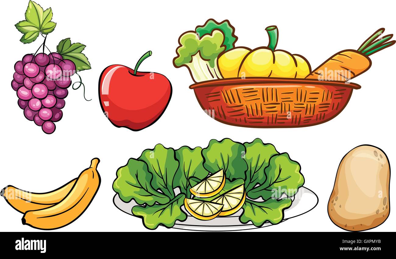 Set of vegetables and fruits illustration Stock Vector Image & Art - Alamy