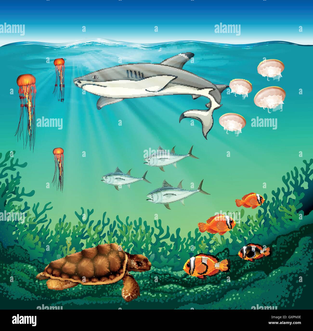 under water animals