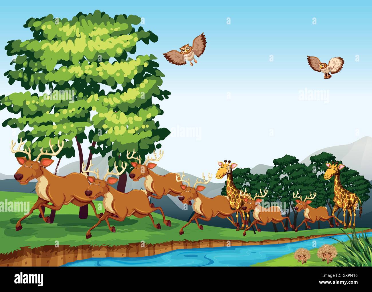 Deers and giraffes in the field illustration Stock Vector Image & Art ...