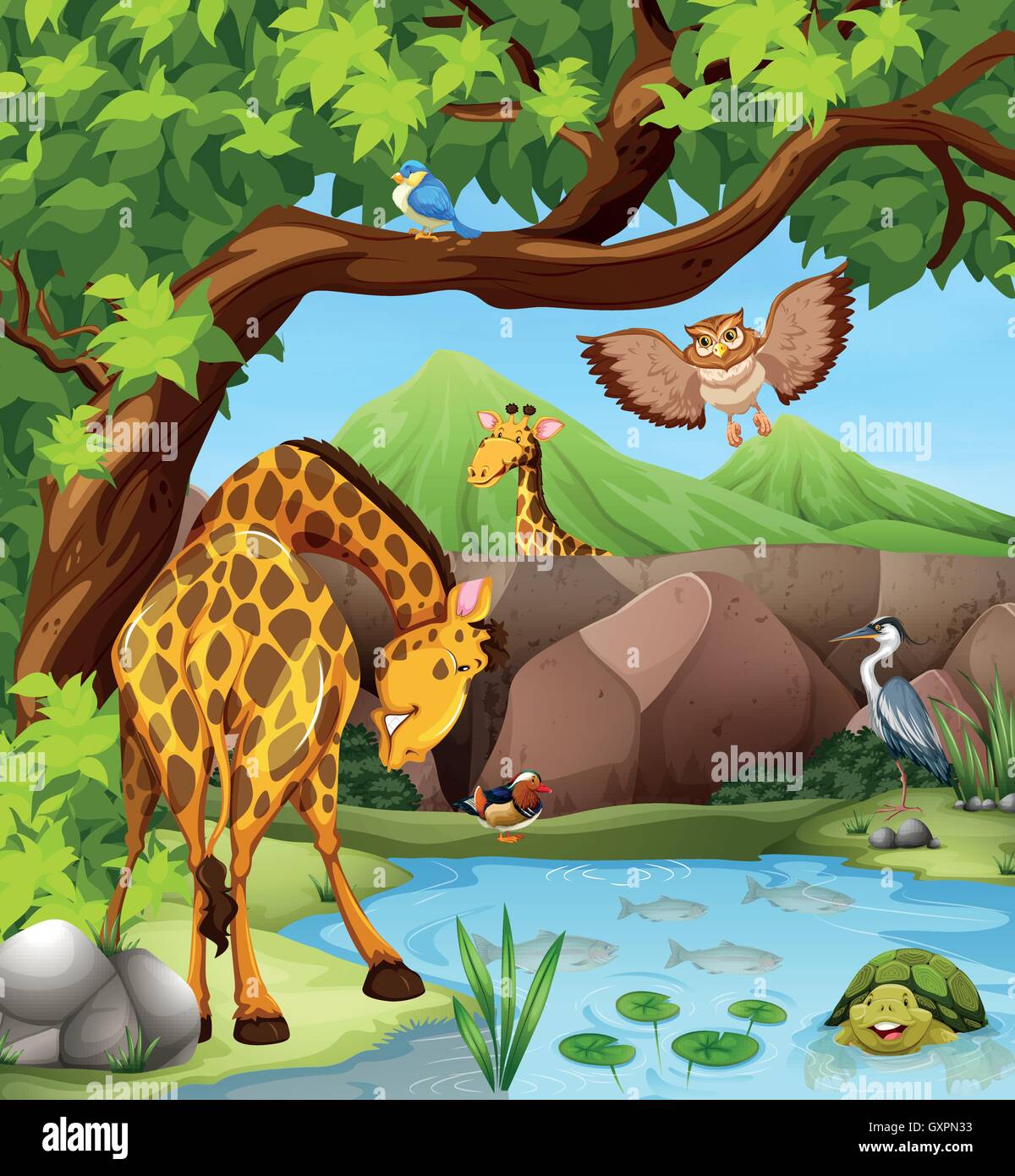 Wild animals by the pond illustration Stock Vector Image & Art - Alamy