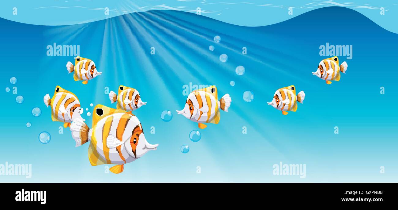 Fish swimming under the ocean illustration Stock Vector Image & Art - Alamy