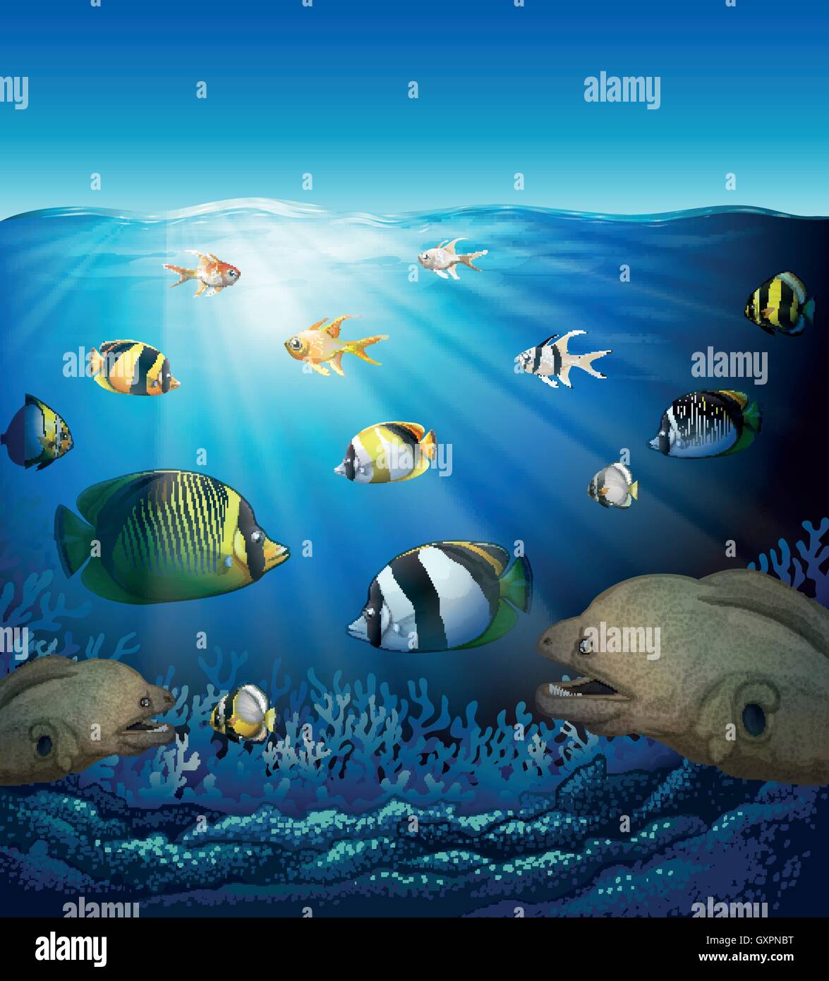 Underwater scene with fish and seaweeds illustration Stock Vector Image ...