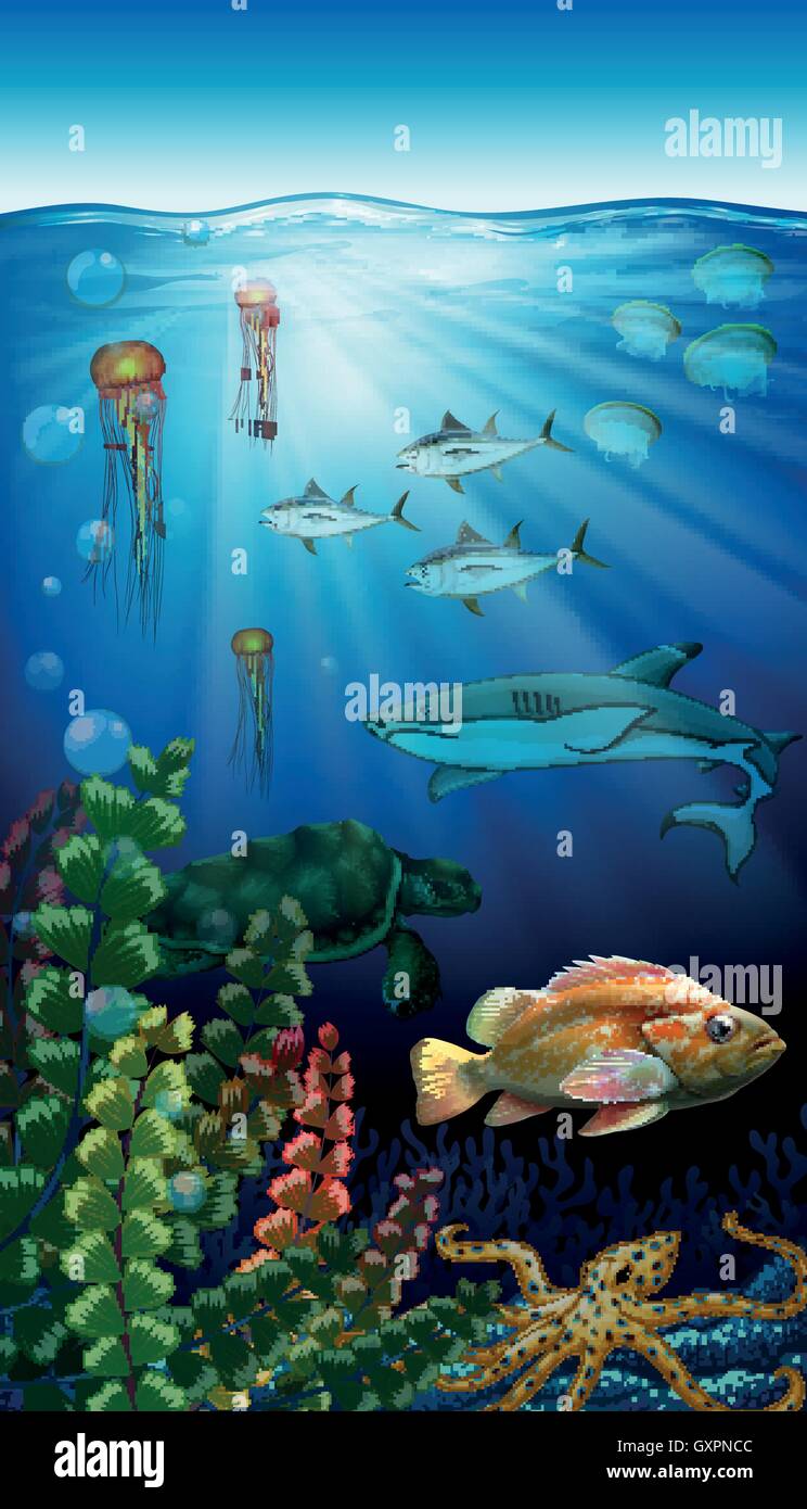 Sea Animals Living Under The Ocean Illustration Stock Vector Image