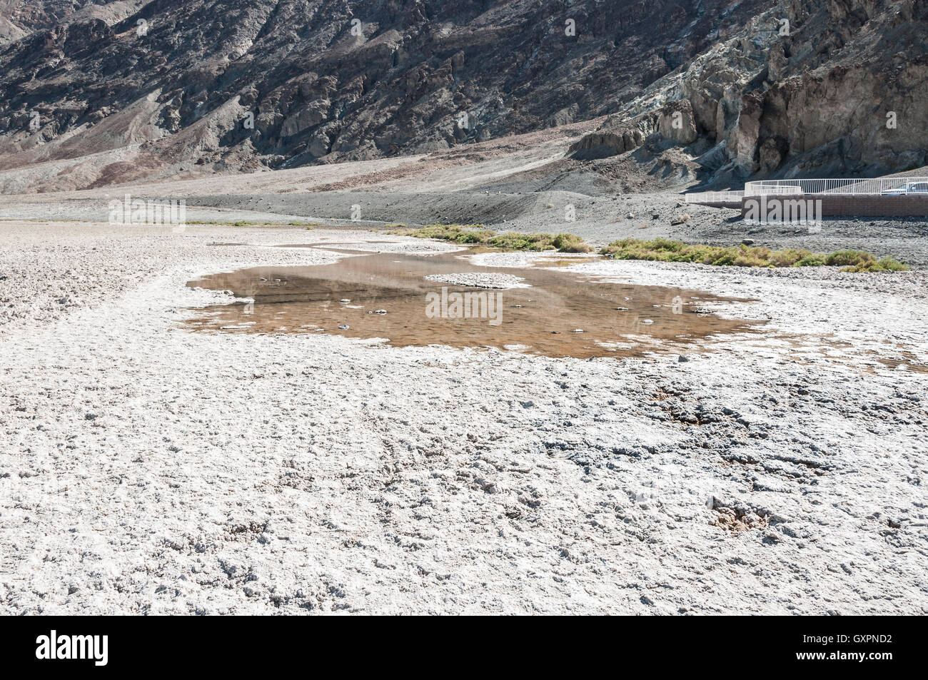 Badwater pool in Death Valley National Park, California Stock Photo