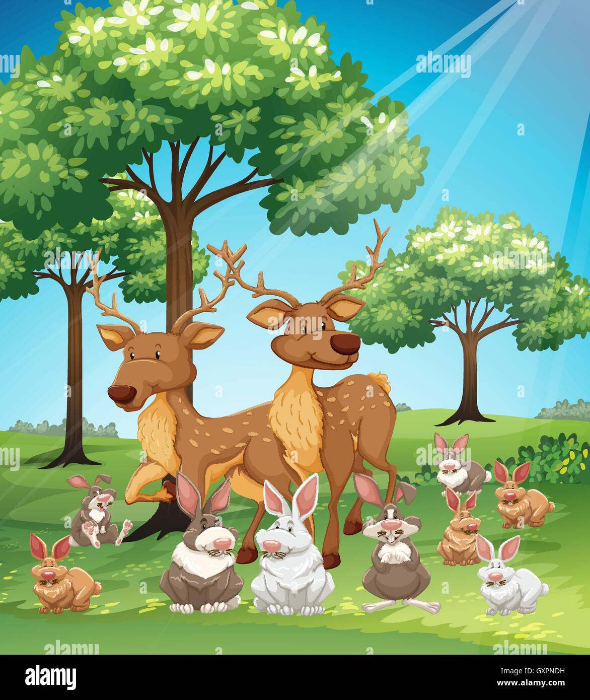 Deers and rabbits in the field illustration Stock Vector Image & Art ...
