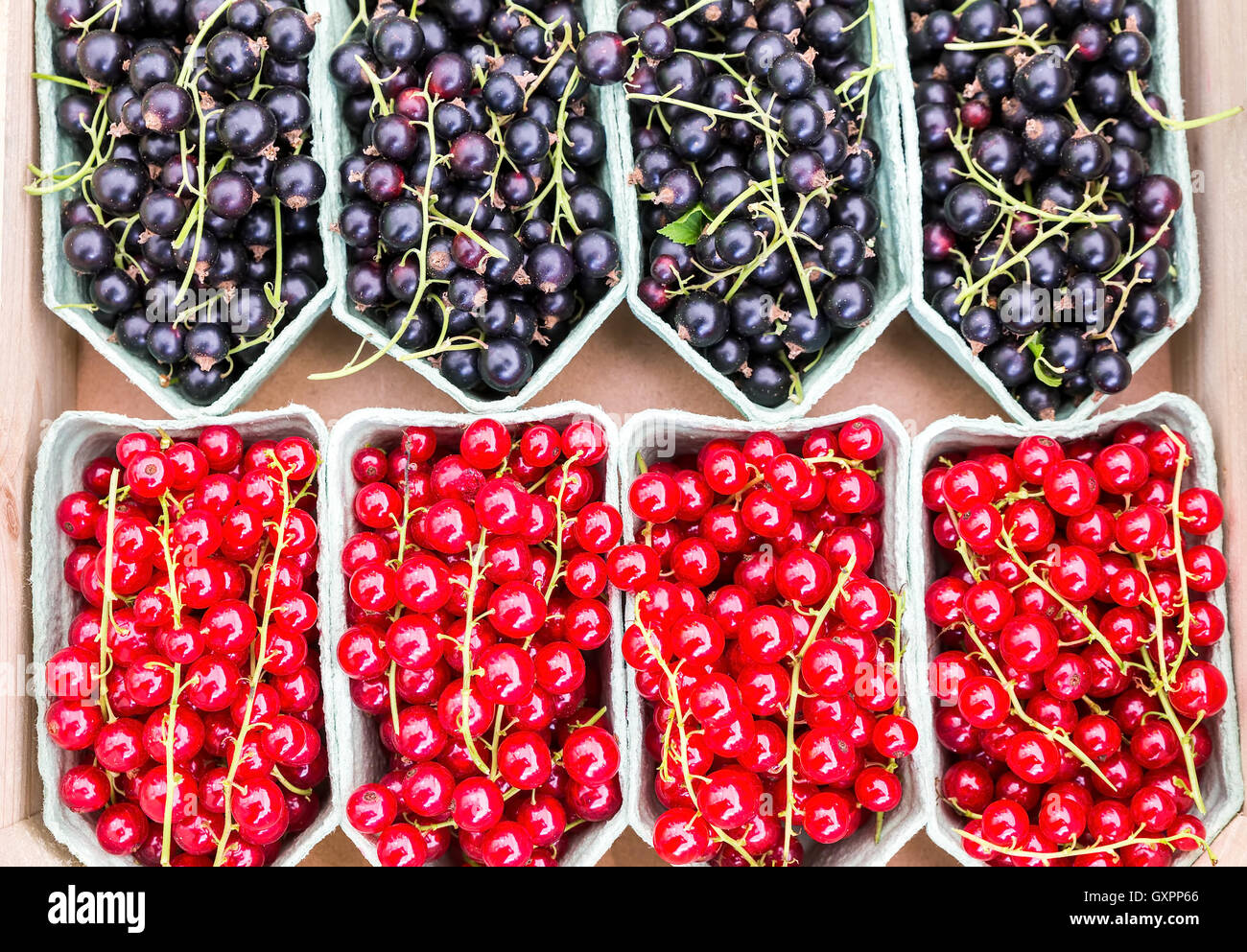 Fruit baskets with red berries and black currants on market Stock Photo