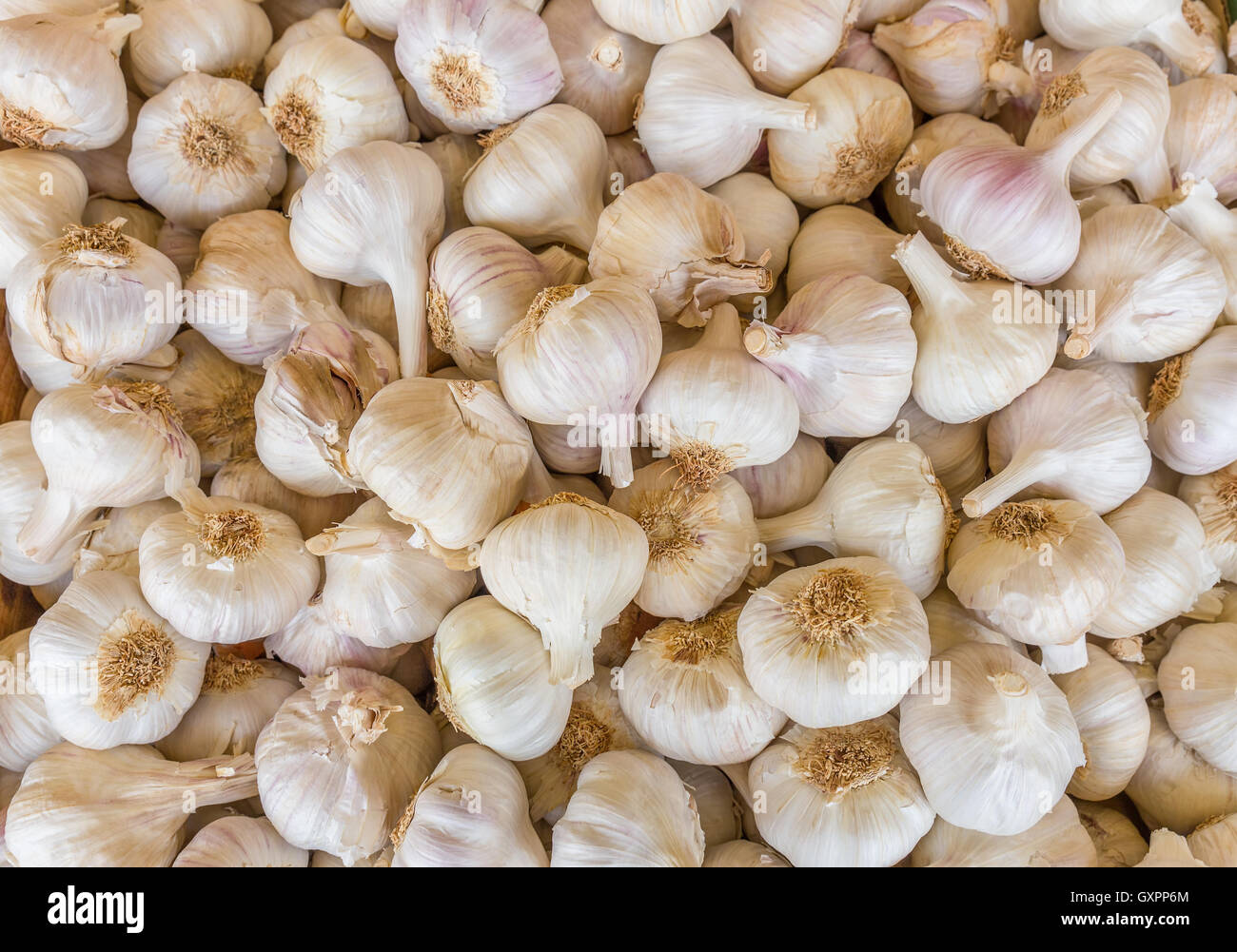 Heap of white garlic bulbs on market place Stock Photo