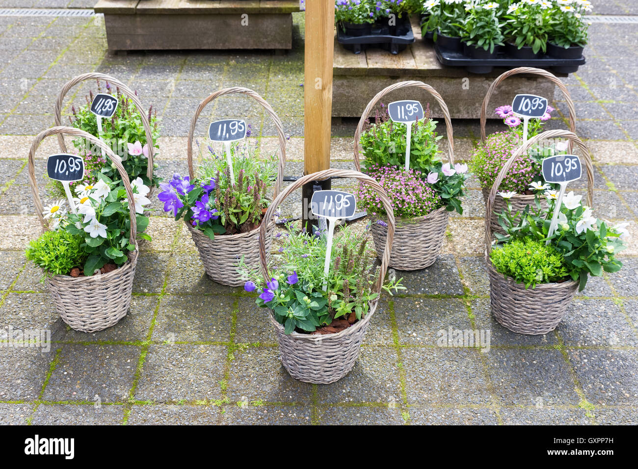 Various reed baskets with flowering plants on ground Stock Photo