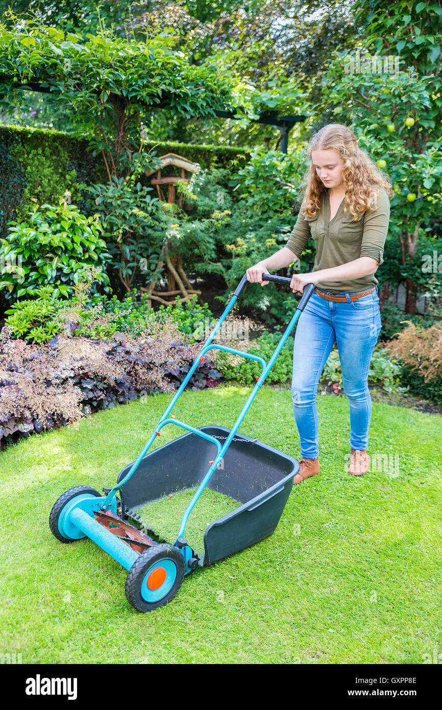 Spear and jackson online push lawn mower