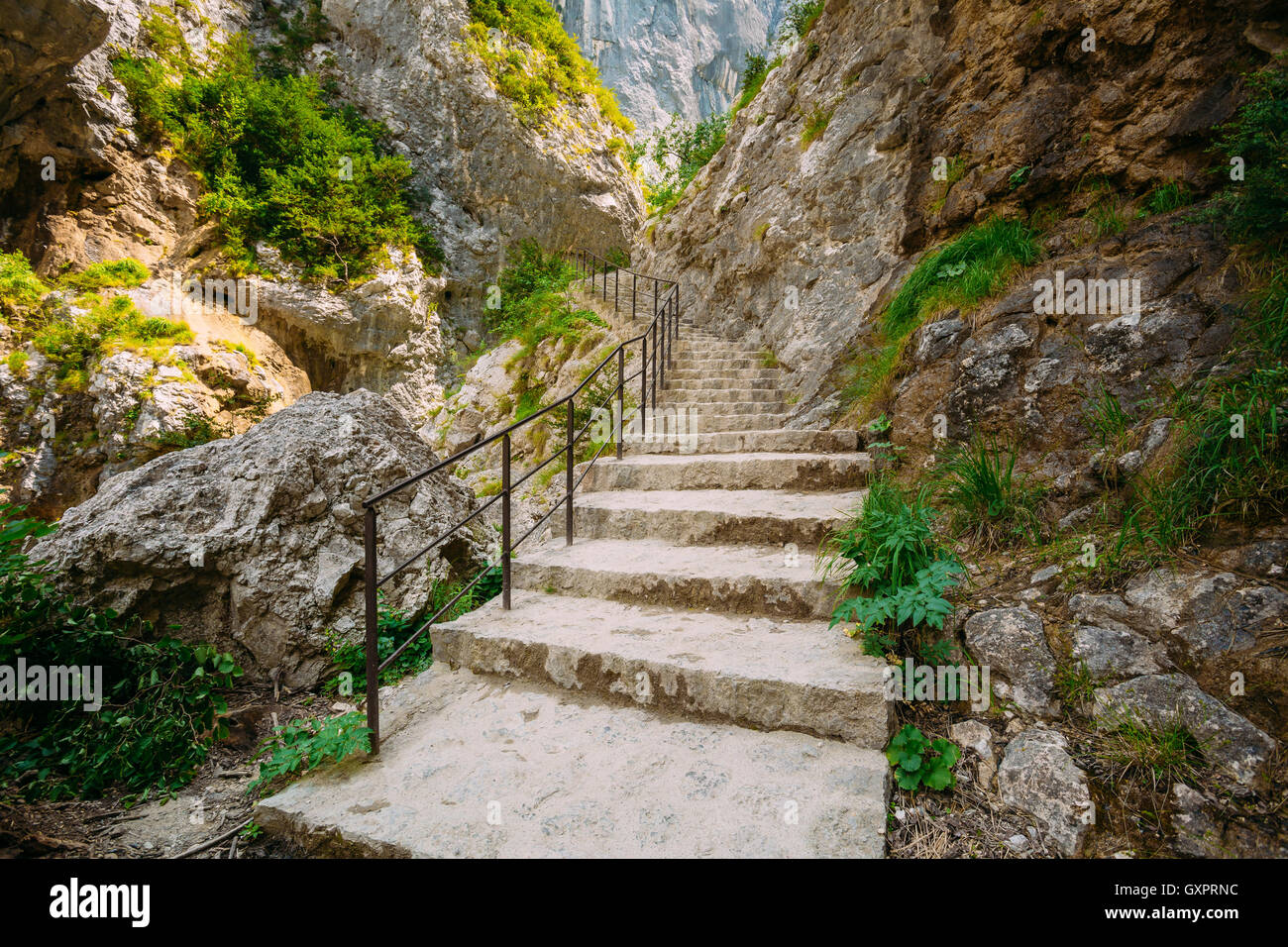 Path way trail hi-res stock photography and images - Alamy