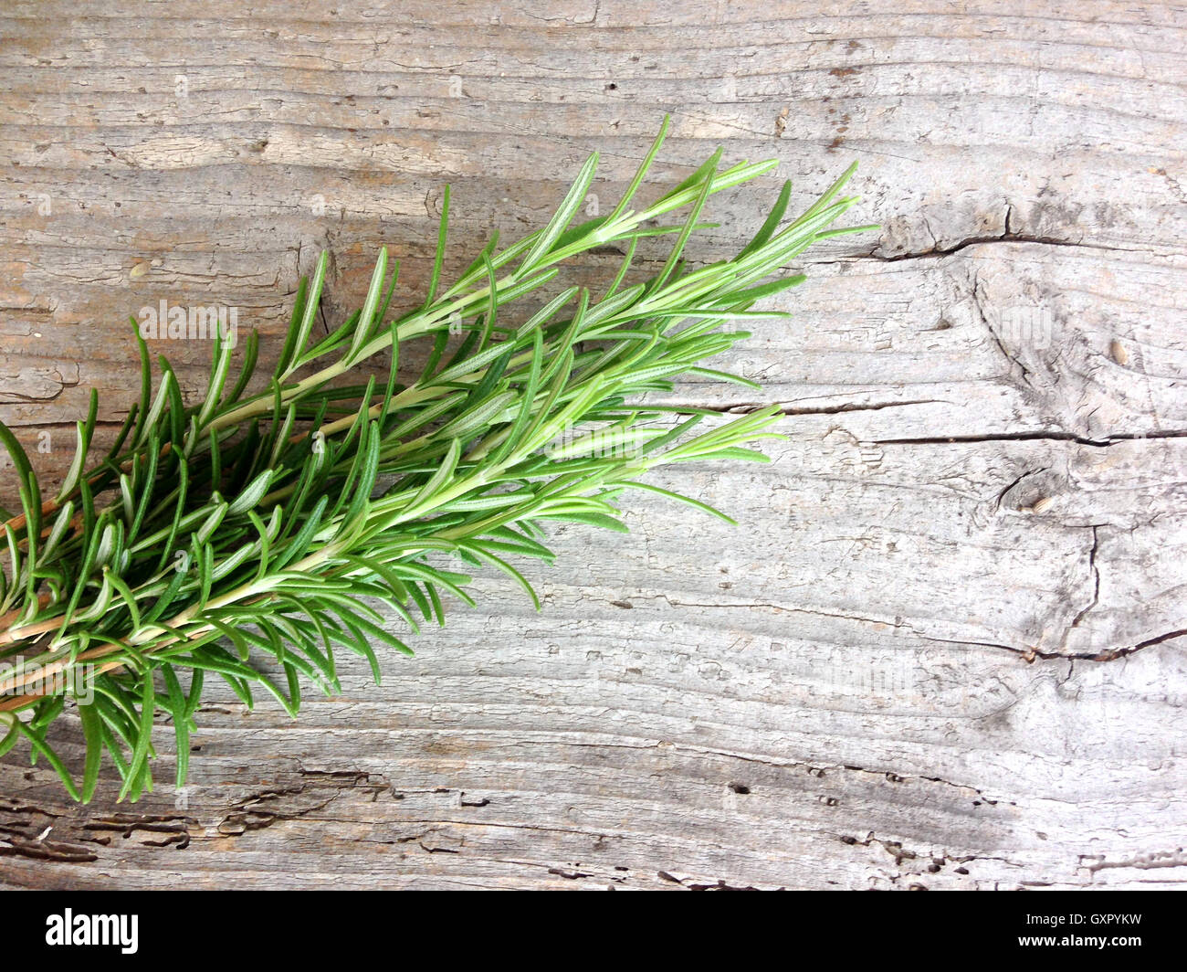 Rosemary on rustic wood background Stock Photo