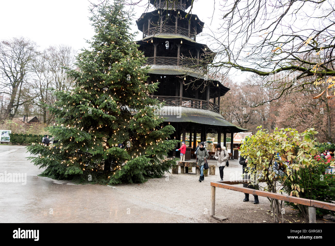 A tall Christmas tree next to the Chinese wooden tower at the English Gardens in Munich, Bavaria, Germany Stock Photo