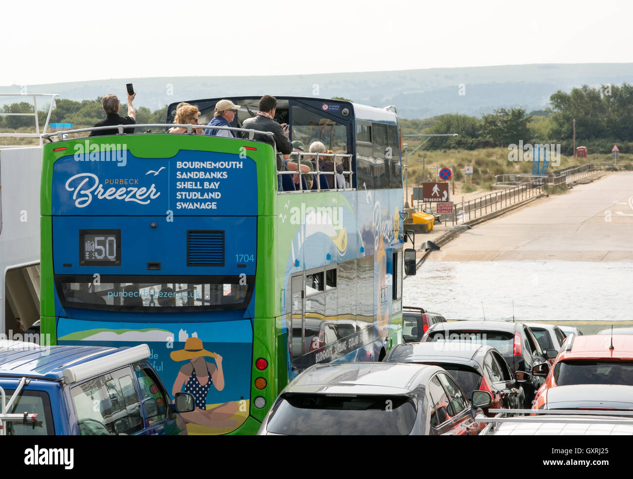 The Purbeck open top bus from Bournemouth and Poole uses the chain link ferry over to Studland as part of its route, Dorset, UK. Stock Photo