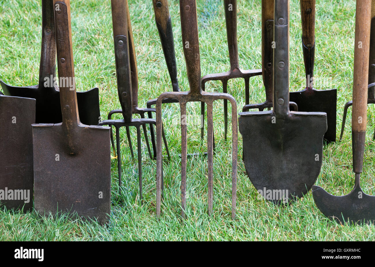 Old garden tools including spades forks and lawn edger Stock Photo