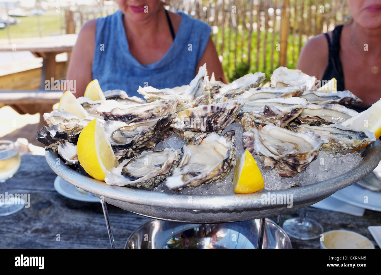 Woman eating oysters hires stock photography and images Alamy