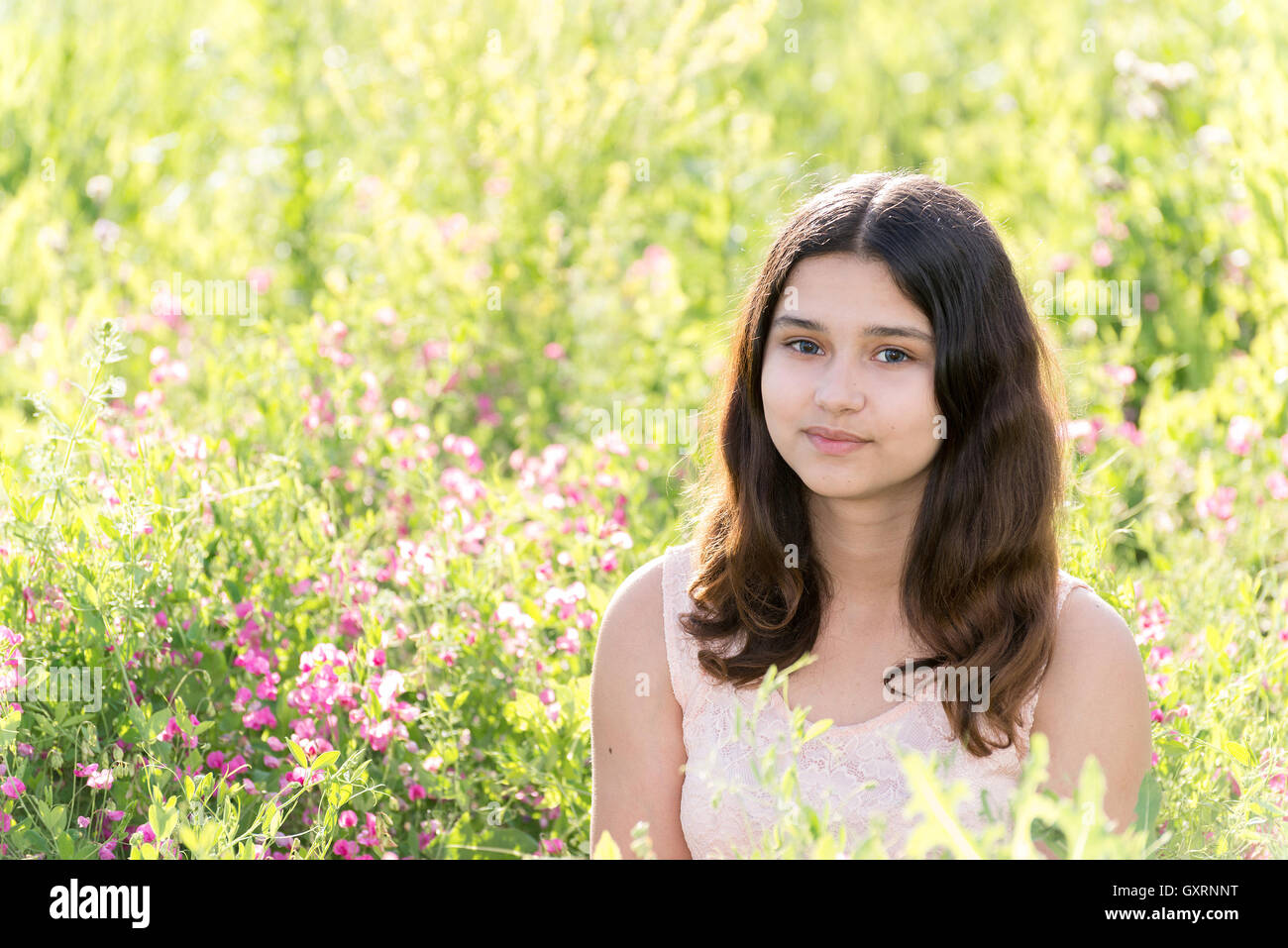 Modest well-groomed girl on summer flower meadow Stock Photo