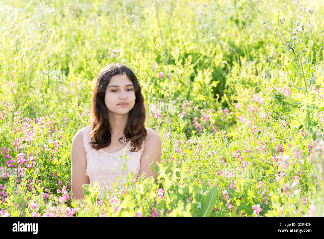 Modest well-groomed girl on summer meadow Stock Photo
