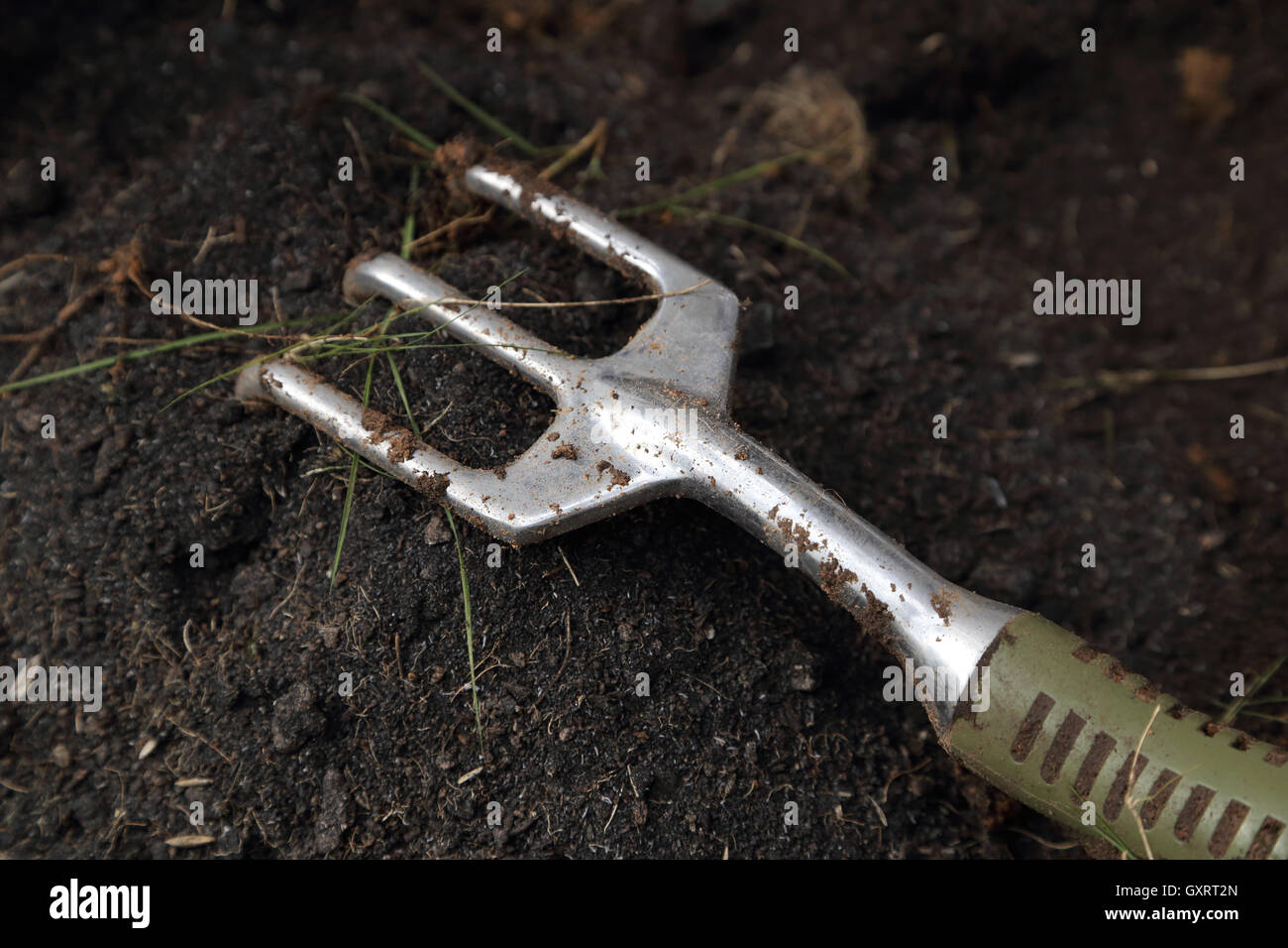 closeup of small gardening fork on soil Stock Photo Alamy