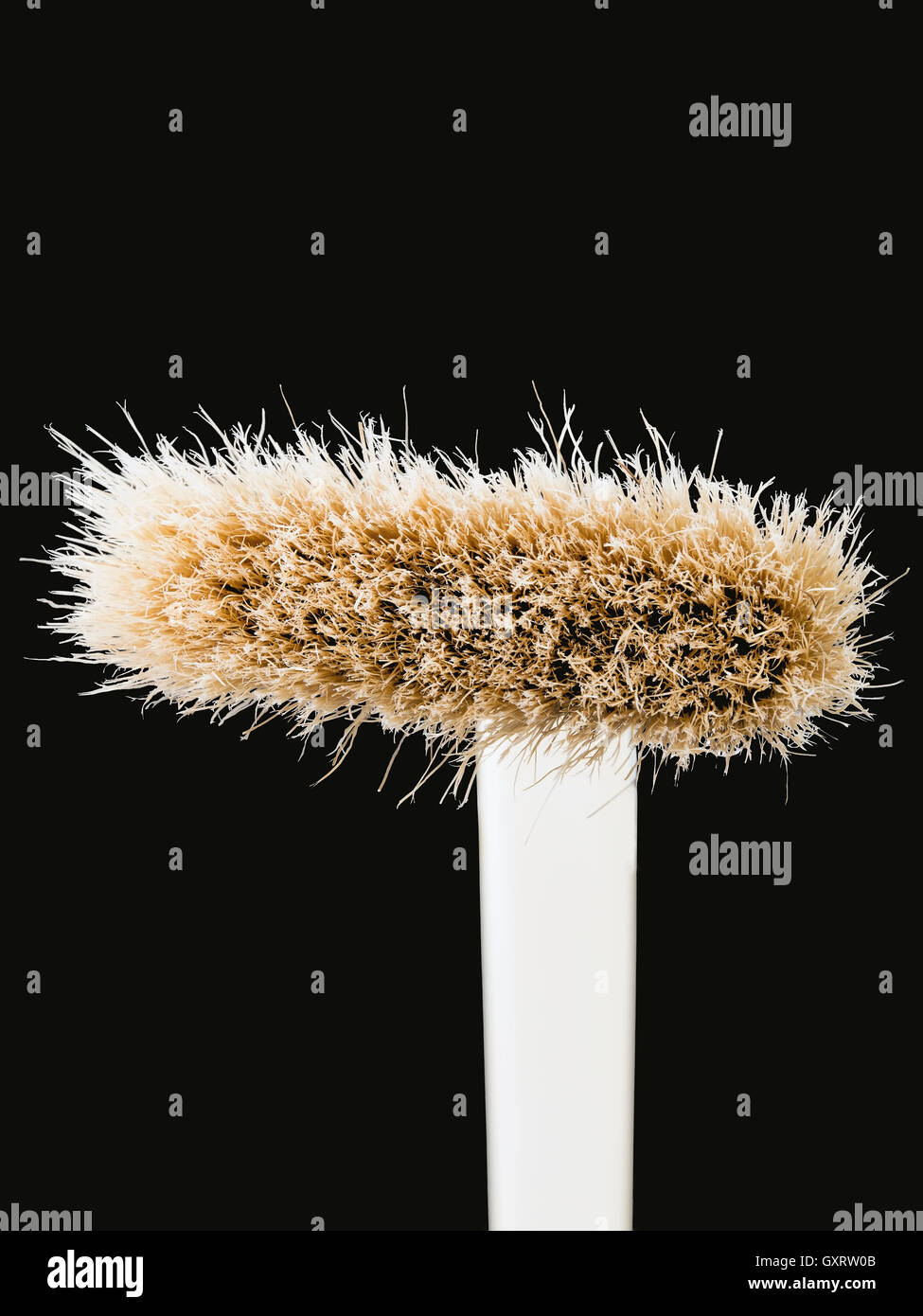 Long handle brush hi-res stock photography and images - Alamy