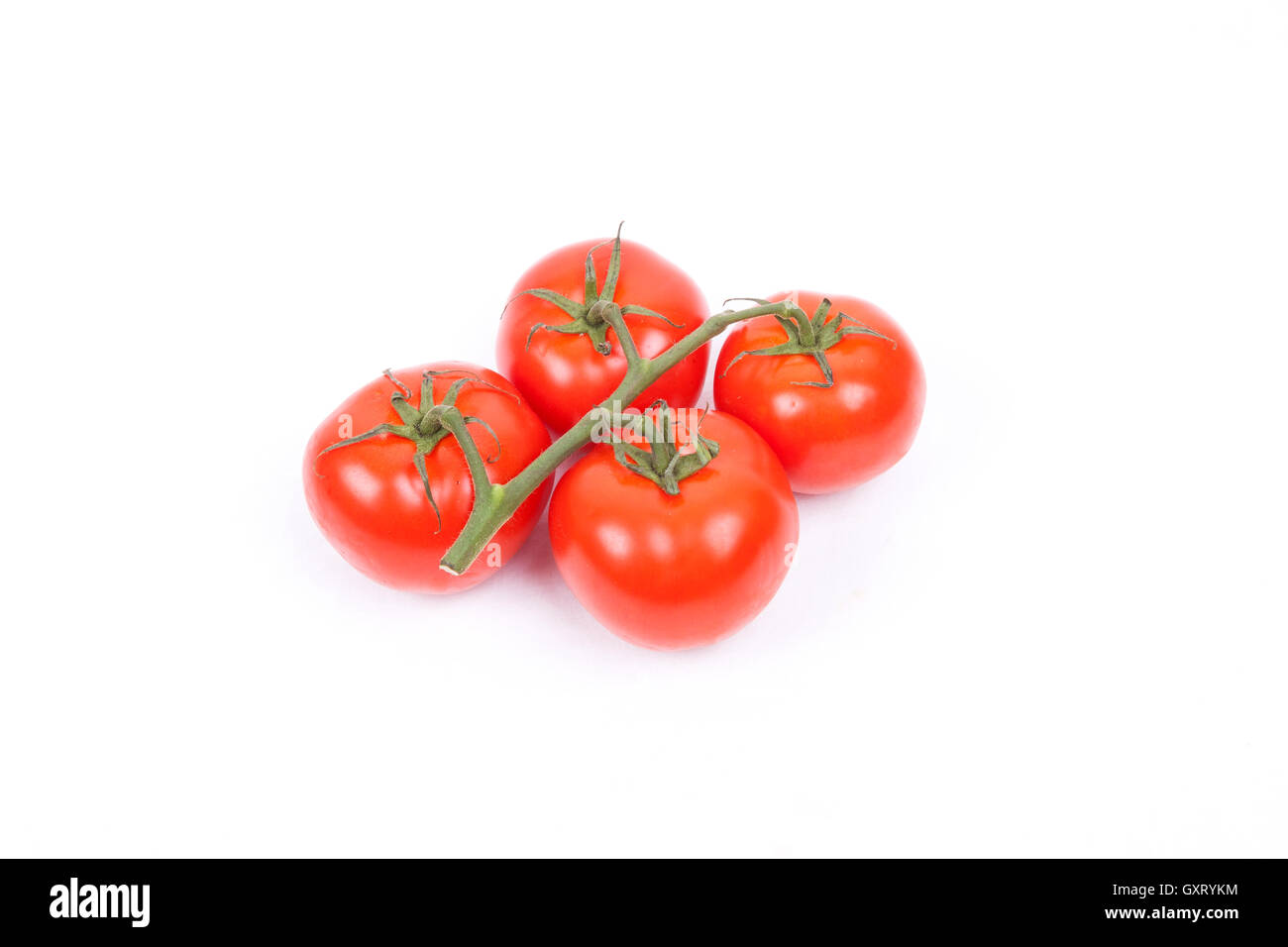 tomatos on a vine on a white background Stock Photo - Alamy
