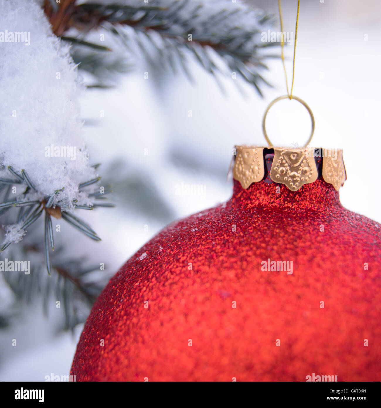 Beautiful Red Christmas Ball on the Fir Branch Covered with Snow Stock ...