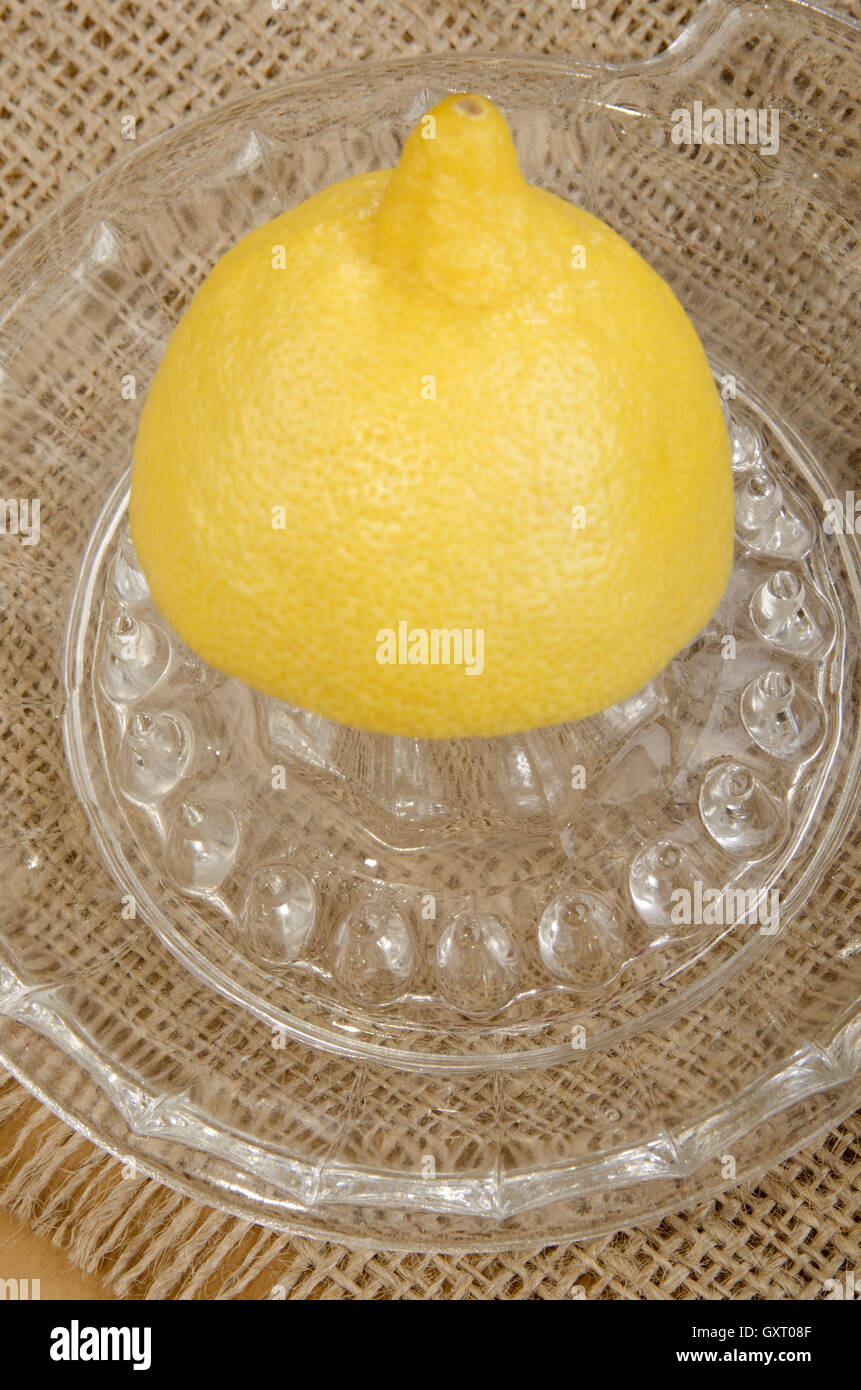 lemon on a lemon squeezer Stock Photo - Alamy