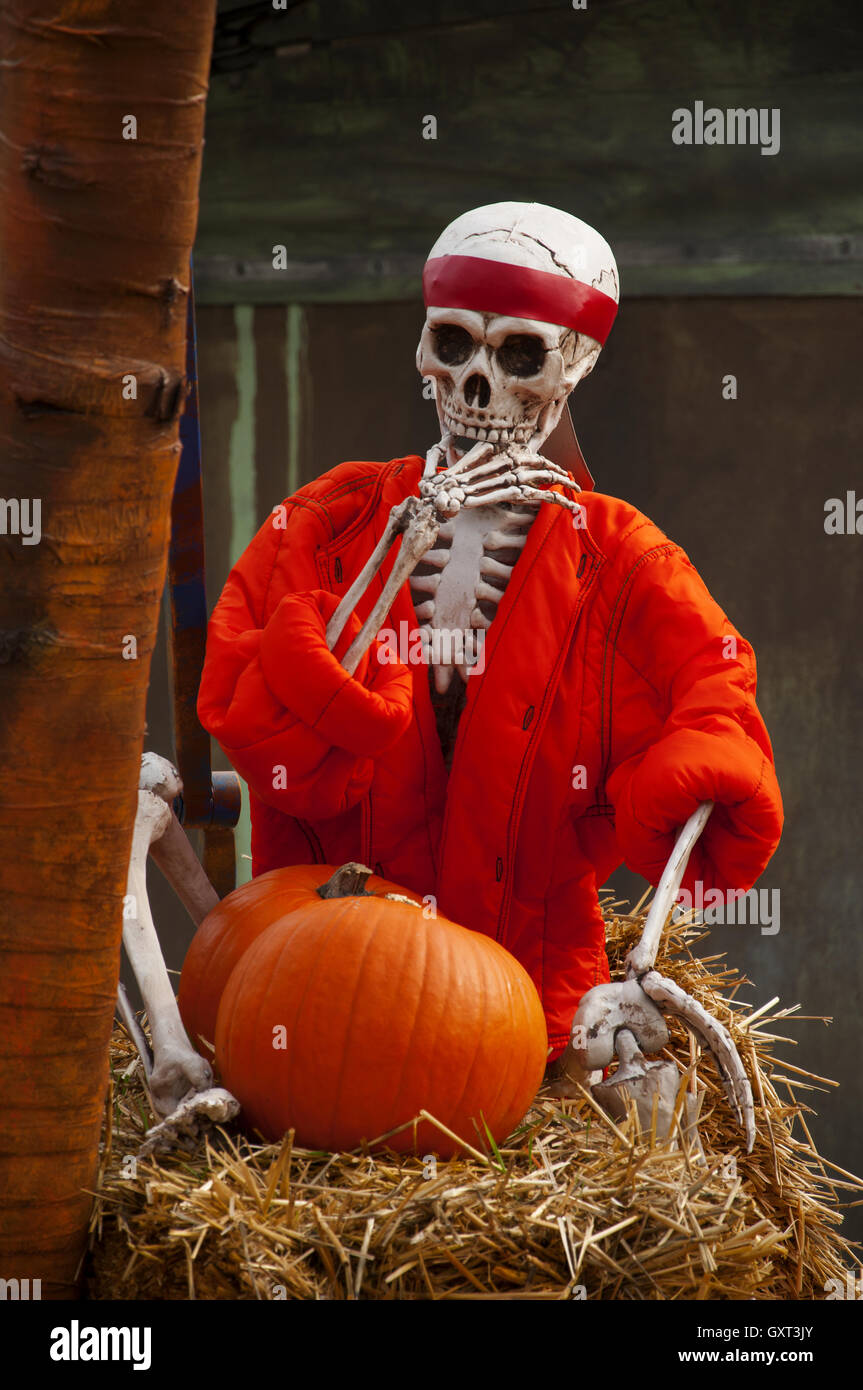 Cool skeleton hi-res stock photography and images - Alamy
