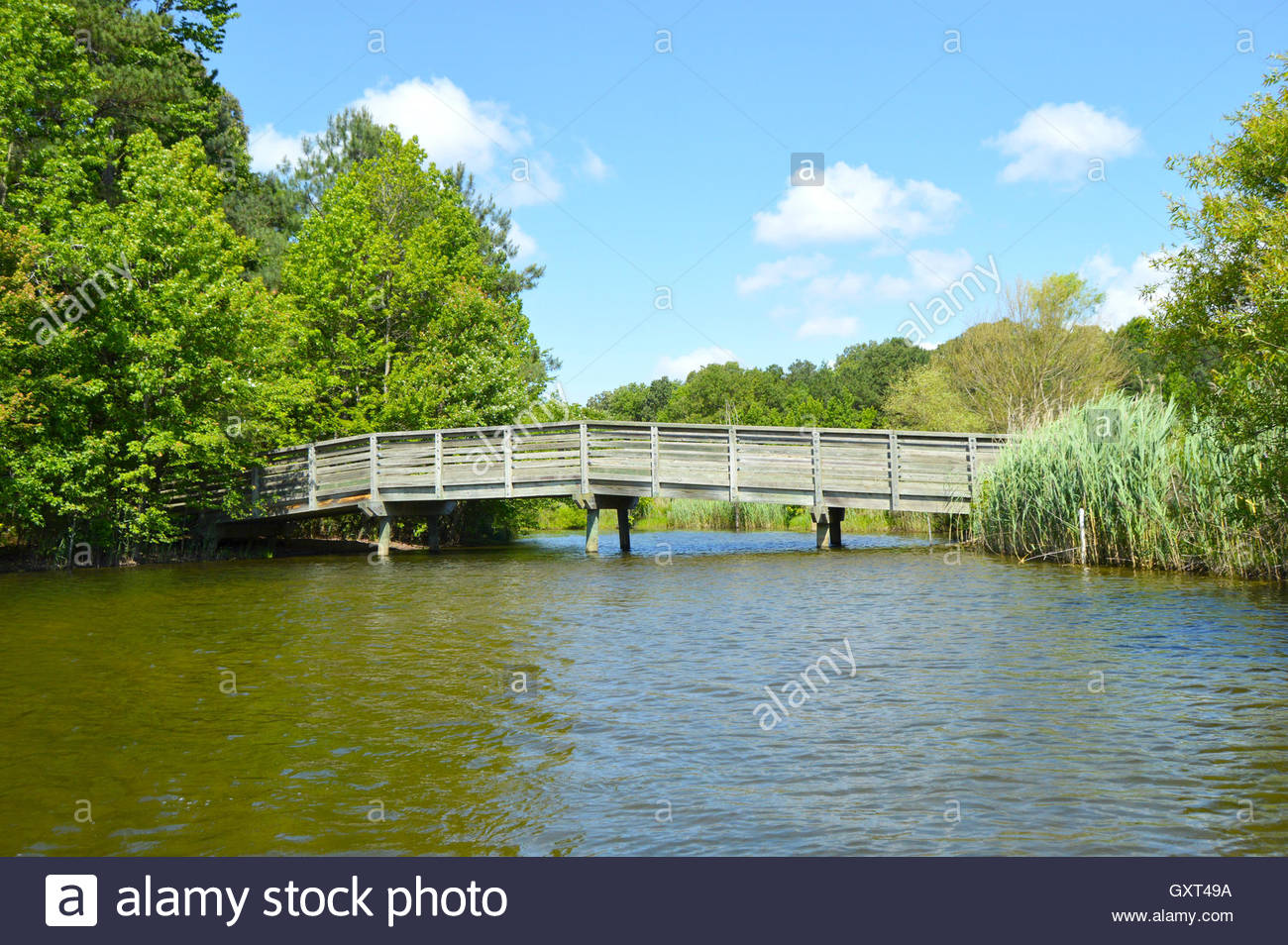 sandy bottom nature park Sandy bottom nature park