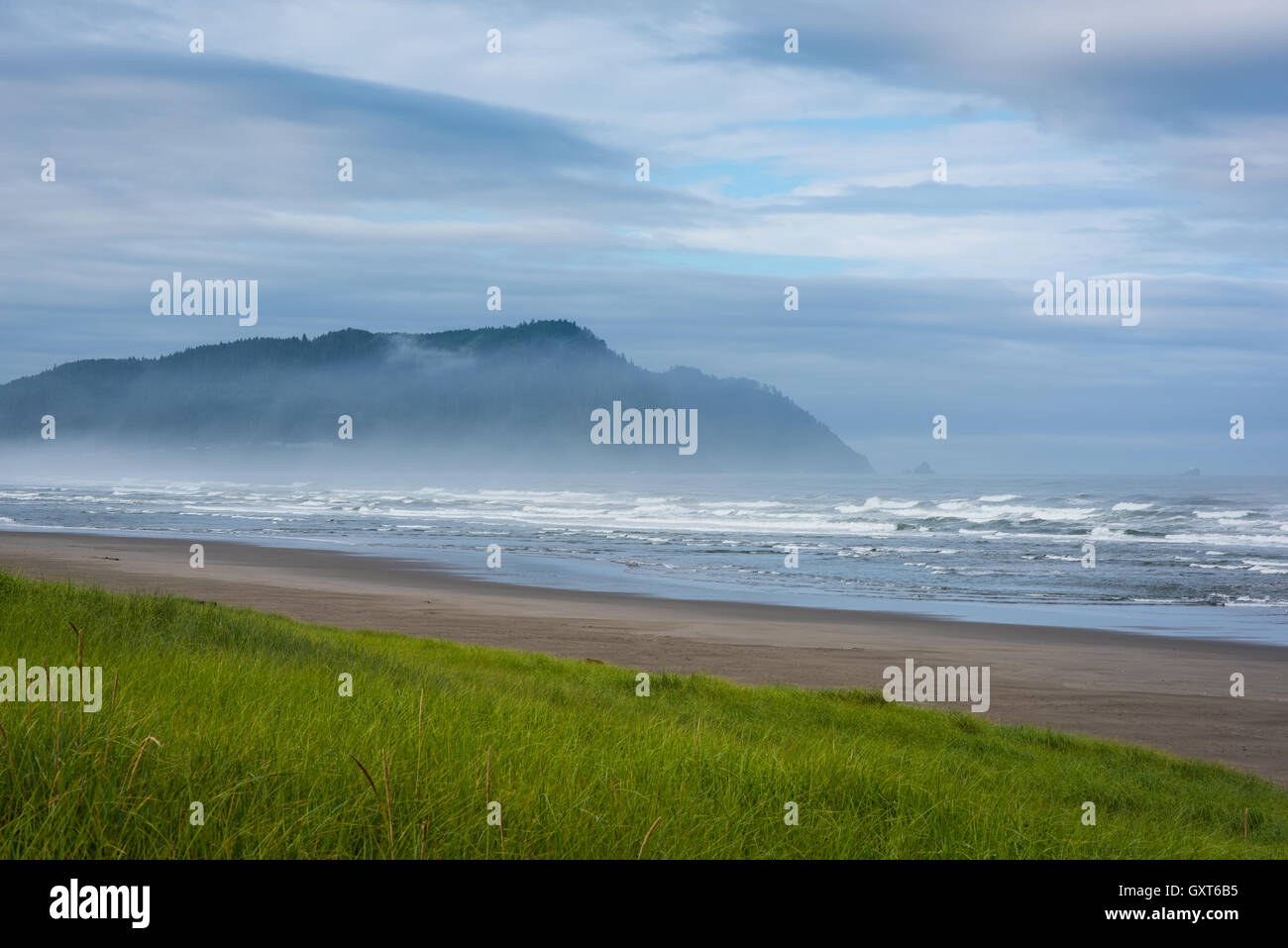 Morning mist over green hi res stock photography and images Alamy