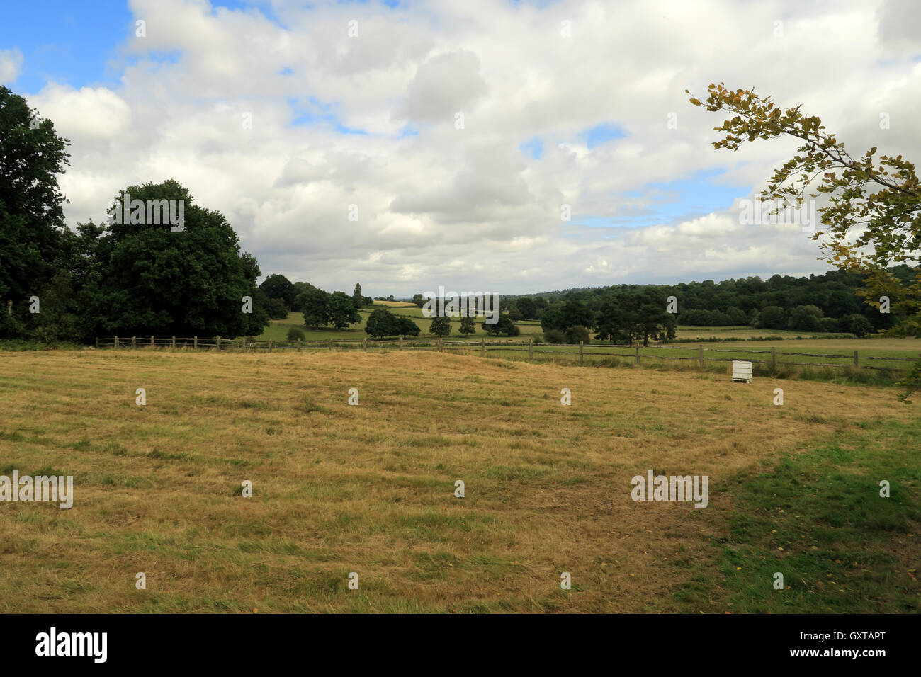 Laberhurst The fields and meadows of the Lamberhurst countryside Stock Photo - Alamy
