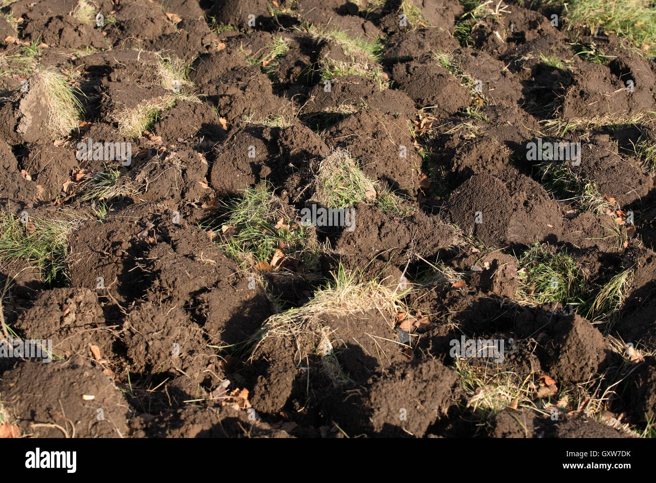 Agricultural land Stock Photo