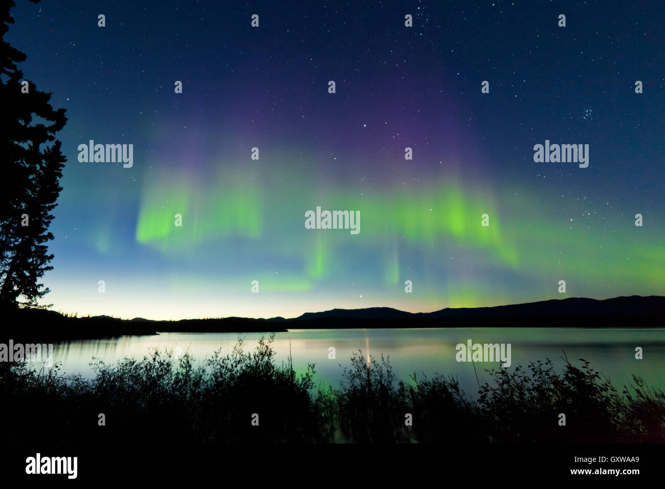 Summer night Northern lights over Lake Laberge Stock Photo - Alamy