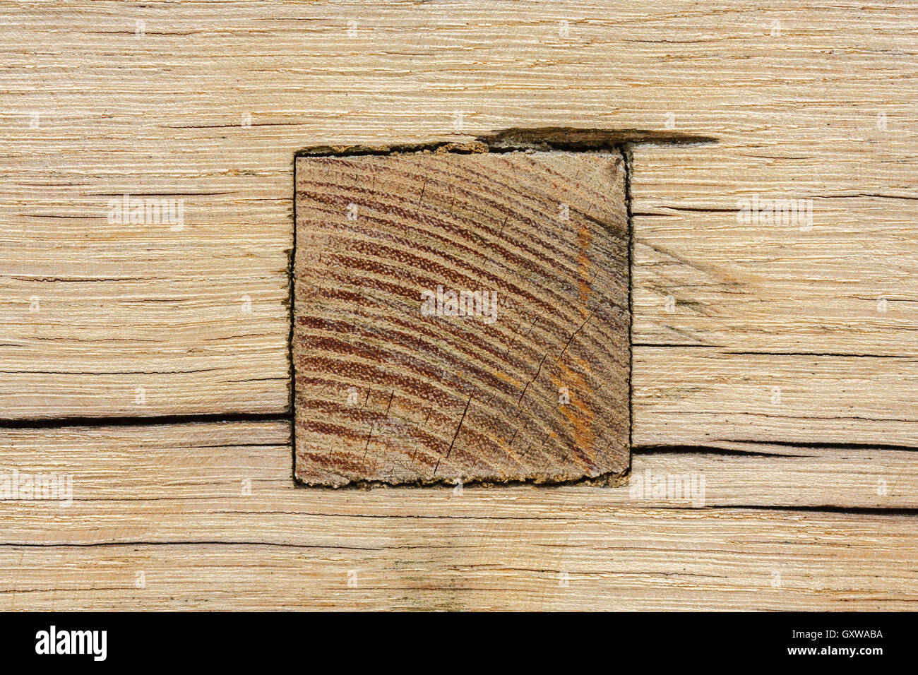 Mortise and tenon joint hires stock photography and images Alamy